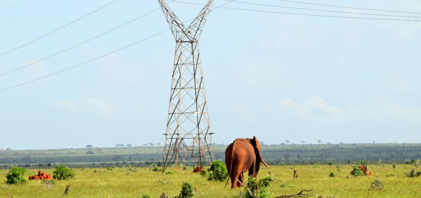 Kenya to expand distribution grid